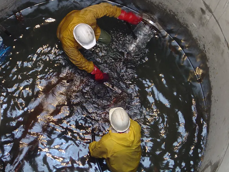 Compagnons au travail au fond d’un puits à drains